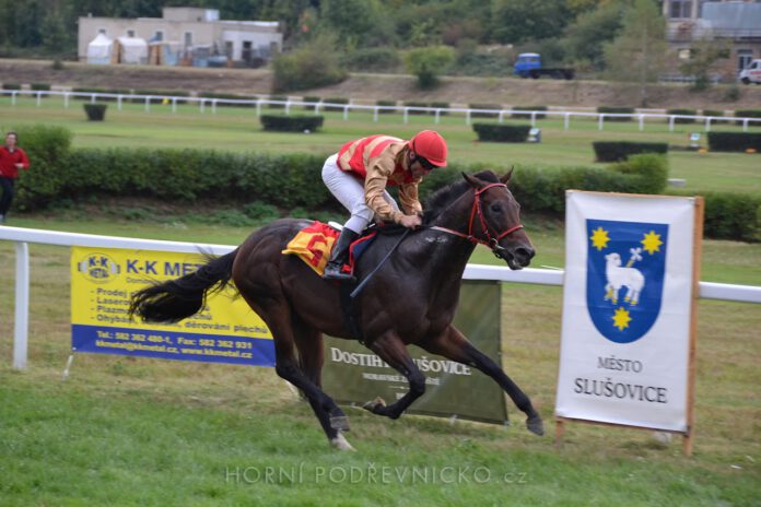 1592012_cena_hejtmana_dostihy_slusovice_0252.jpg