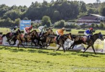 Podzim dostihům sluší. Slušovice mají za sebou vydařenou sobotu, sezonu uzavře Velká slušovická steeplechase